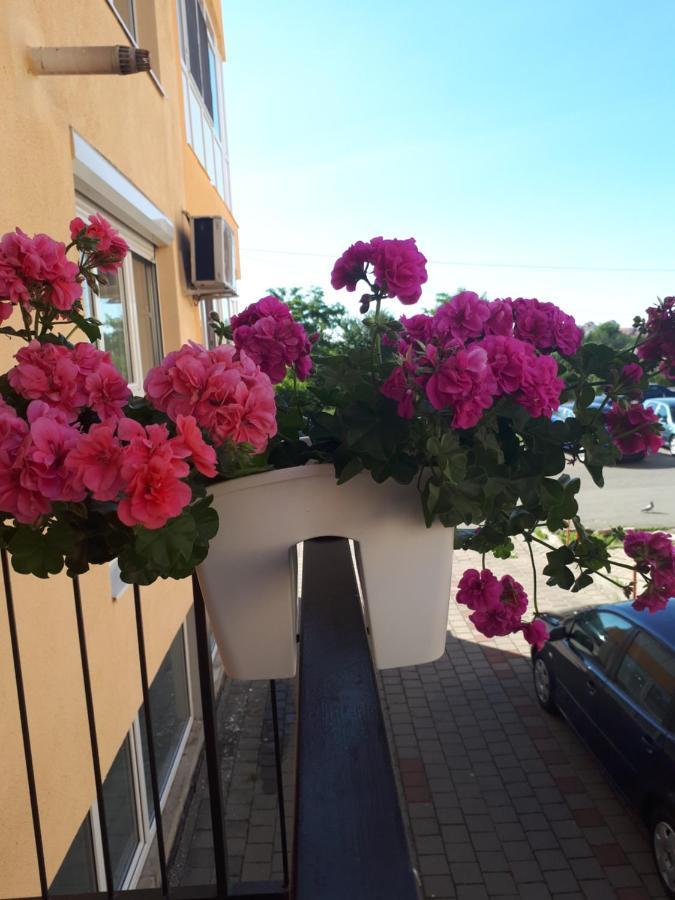 Angel Apartament سيبيو المظهر الخارجي الصورة