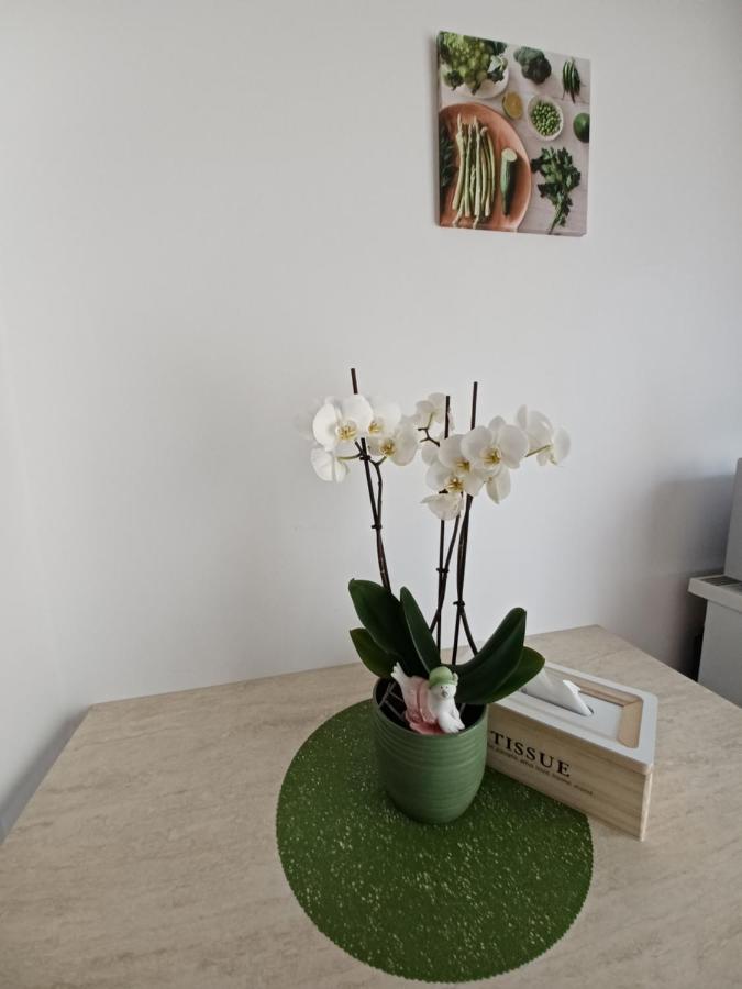 Angel Apartament سيبيو المظهر الخارجي الصورة